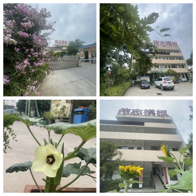 夏至來臨，期待美好