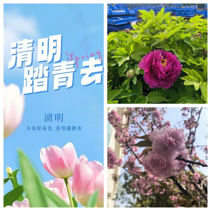 踏春的季節(jié)，美麗的偉志模板